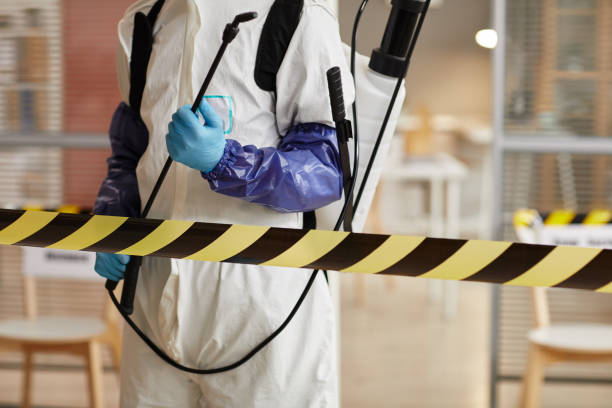 Professional Sewage Cleanup technician working in Sanborn, NY